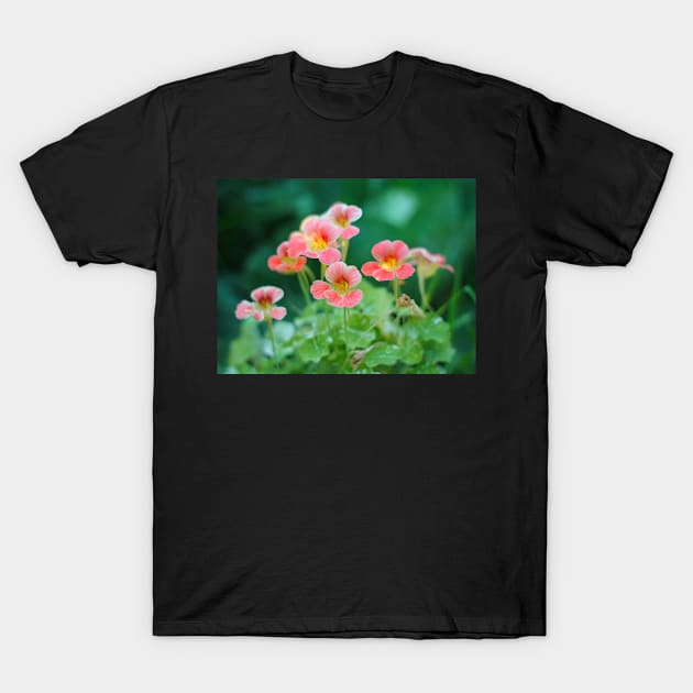 Nasturtium flowers photo T-Shirt by MistyLakeArt